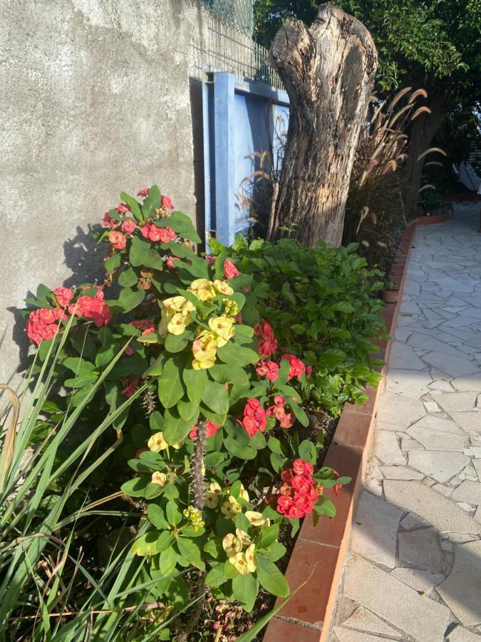 Au Pipiri Leve Διαμέρισμα Schoelcher Εξωτερικό φωτογραφία